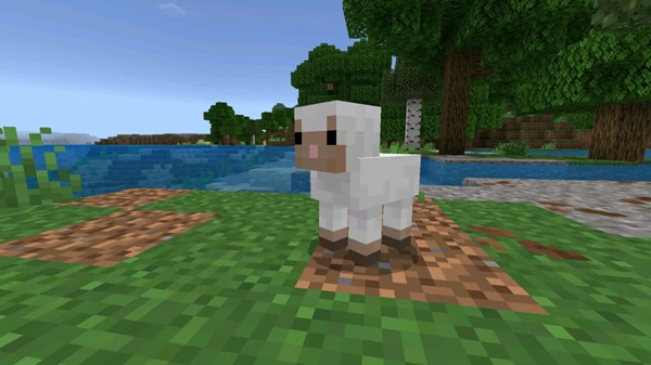 minecraft 26.2 versi terbaru